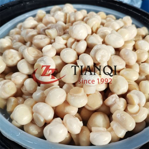 Preserving mushroom in drum well welcome