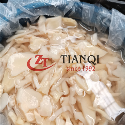 قارچ Champiginon نمک در طبل