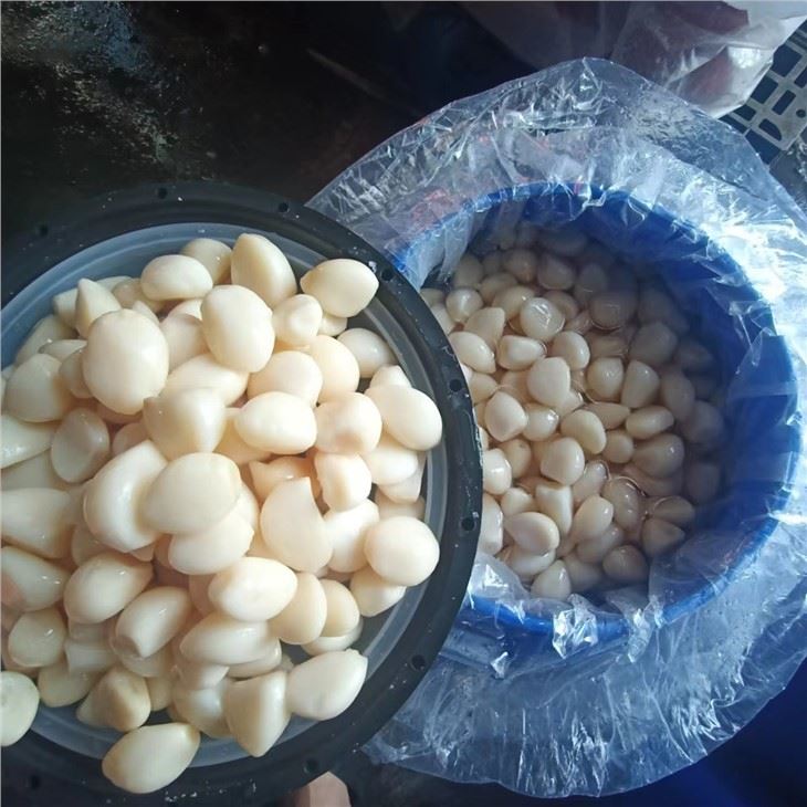 Peeled Garlic in Brine