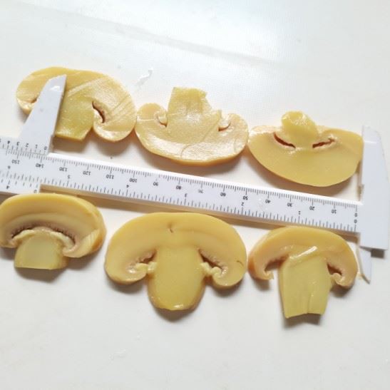 Slice Mushroom In Barrel