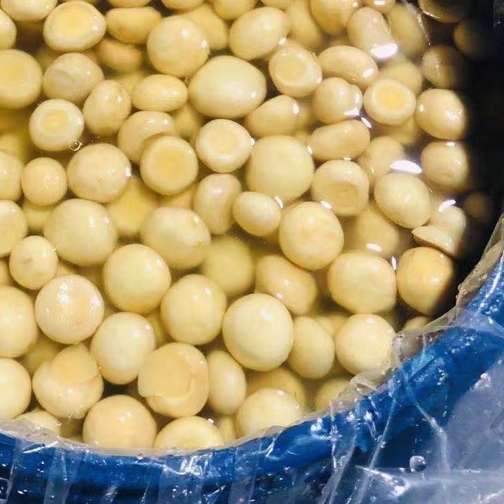 Whole Mushroom In Barrel